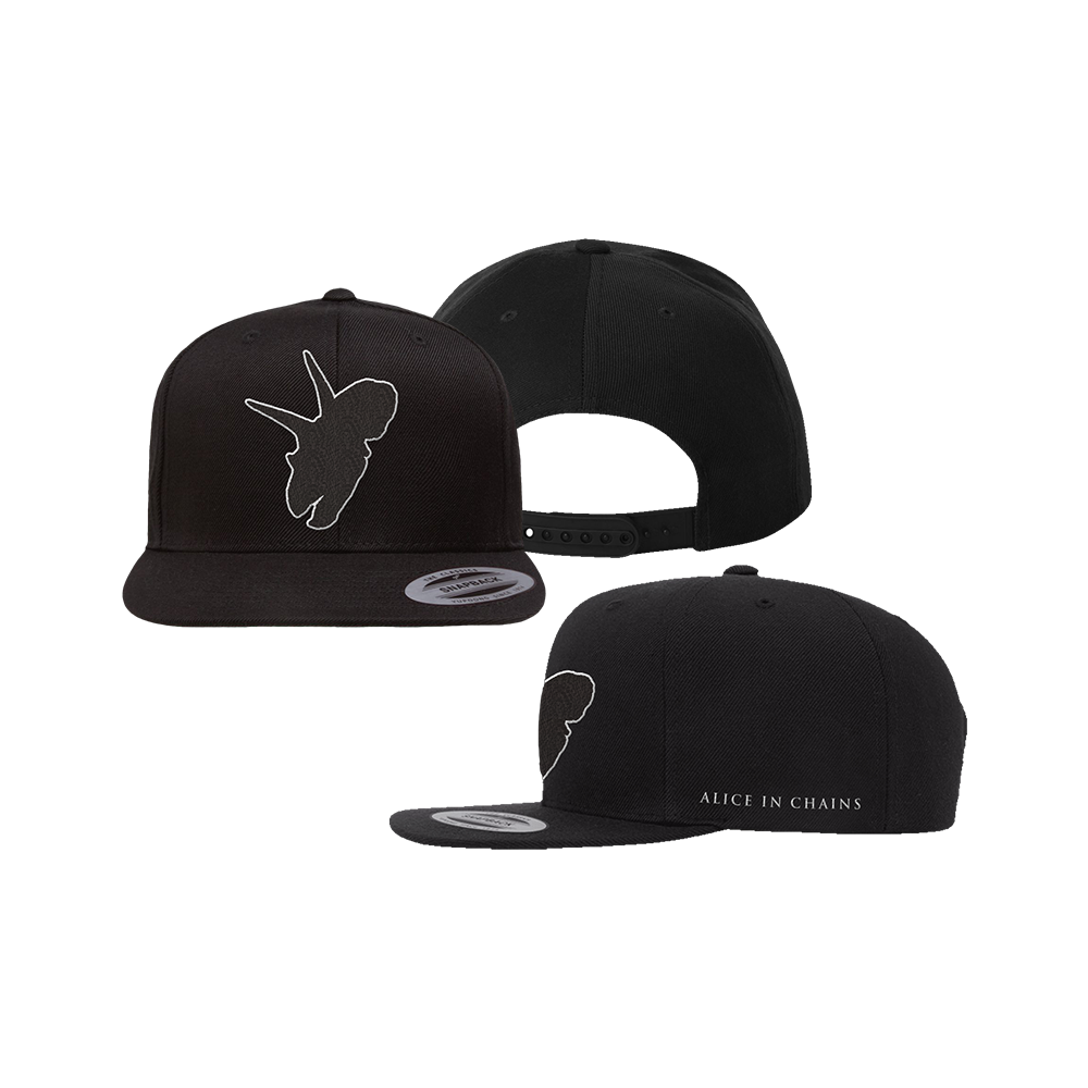 Black snapback cap with a white outline design on the front and ’Alice in Chains’ text on the side.