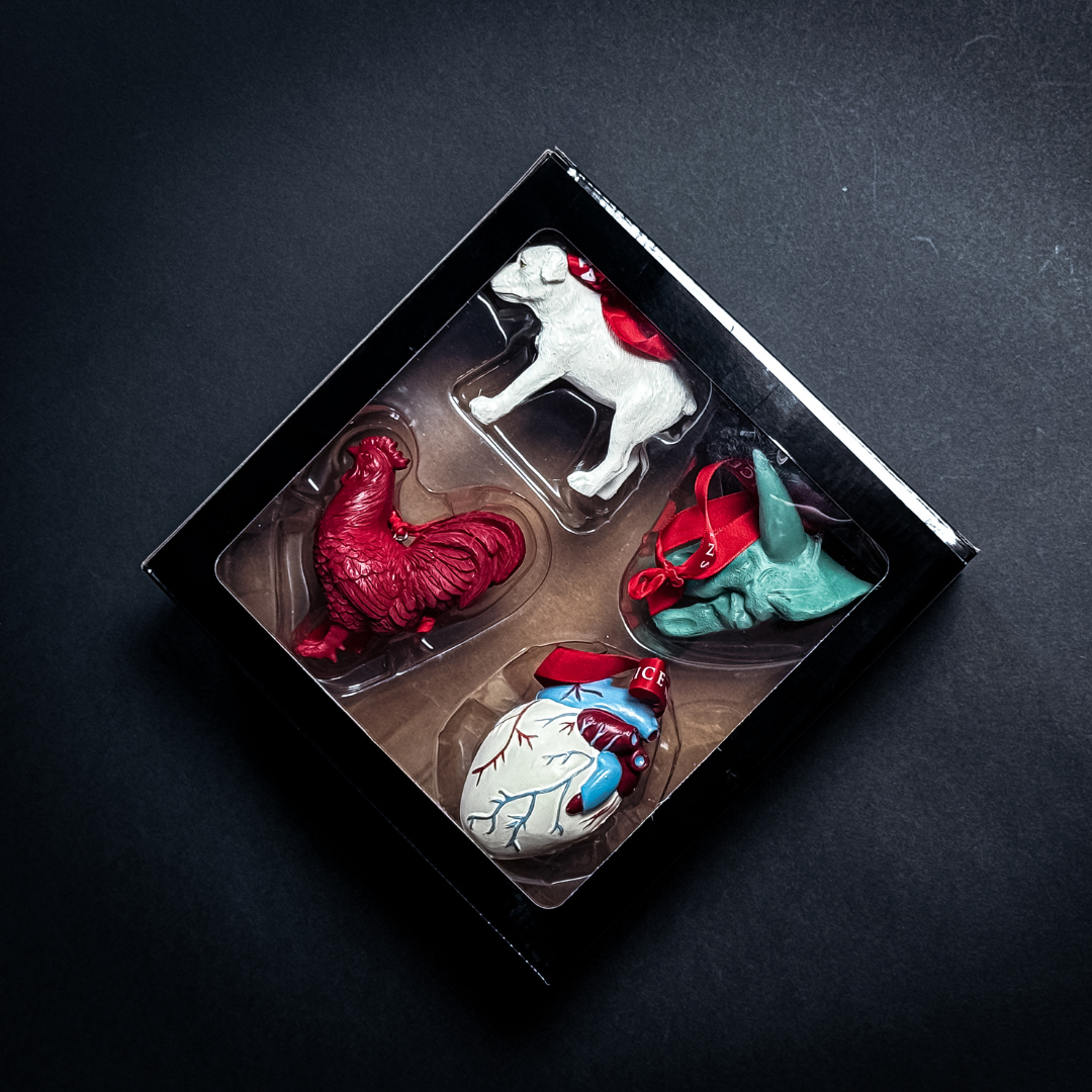 Set of four glossy sculpted holiday ornaments in red white teal and blue in a holiday ornament box set
